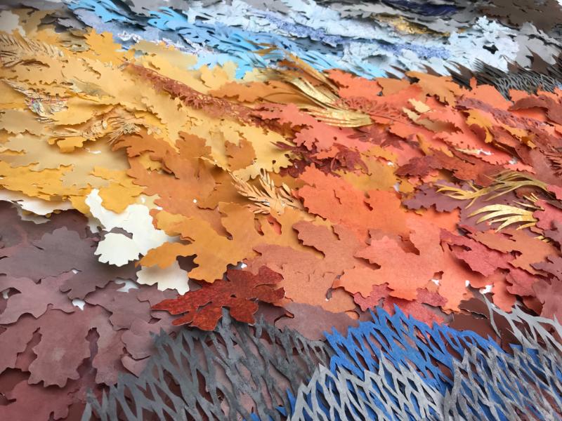 Ncz1VAG8QmmoFL1d3MXaHw